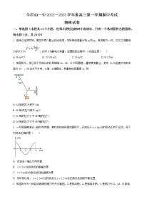 2022-2023学年北京市顺义区牛栏山一中高三上学期期中考试 物理