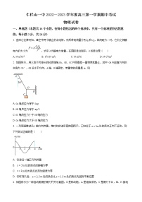 2023北京顺义区牛栏山一中高三上学期期中考试物理含答案