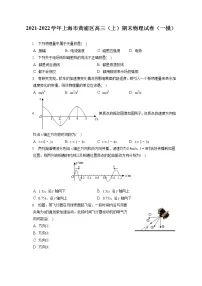 2021-2022学年上海市黄浦区高三（上）期末物理试卷（一模）（含答案解析）