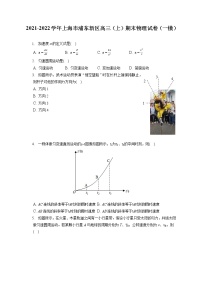 2021-2022学年上海市浦东新区高三（上）期末物理试卷（一模）（含答案解析）