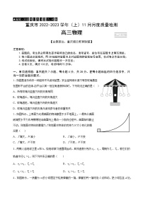 2022-2023学年重庆市缙云教育联盟高三上学期11月月度质量检测 物理 （解析版）