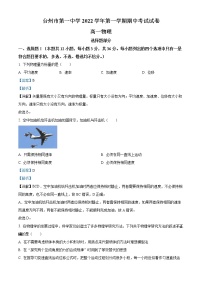 2022-2023学年浙江省台州市第一中学高一上学期期中考试物理试题（解析版）