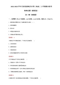 2022-2023学年甘肃省嘉峪关市等三地高二上学期期末联考 物理试题（解析版）