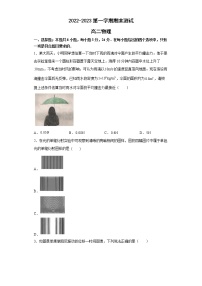 山东省青岛市第二中学2022-2023学年高二物理上学期1月期末试题（Word版附答案）