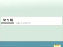 高中物理高考 高考物理二轮复习专题专讲课件 第14讲+微专题（全国通用）