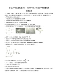 2023湖北省云学新高考联盟高二上学期期末联考物理试题无答案