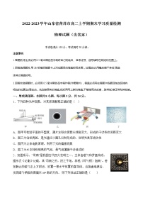 2022-2023学年山东省菏泽市高二上学期期末学习质量检测 物理试题（含答案）