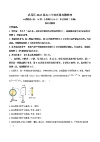 2022-2023学年湖北省武汉市武昌区高三上学期质量检测物理试卷（word版）