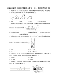 2022_2023学年湖南省益阳市六校高一（上）期末联考物理试卷（含答案解析）