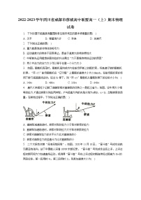 2022-2023学年四川省成都市蓉城高中联盟高一（上）期末物理试卷（含答案解析）