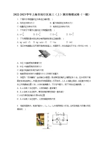 2022-2023学年上海市闵行区高三（上）期末物理试卷（一模）（含答案解析）