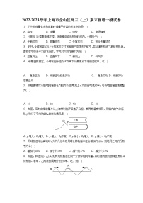 2022-2023学年上海市金山区高三（上）期末物理一模试卷（含答案解析）