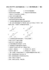 2022-2023学年上海市杨浦区高三（上）期末物理试卷（一模）（含答案解析）