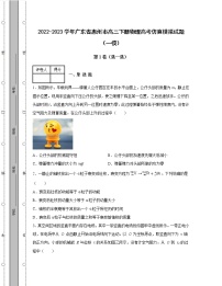 2022-2023学年广东省惠州市高三下册物理高考仿真模拟试题（一模二模）含解析