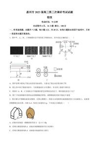 2023届广东省惠州市高三下学期第三次调研物理试题（PDF版）