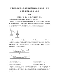 2022-2023学年广东省高考研究会高考测评研究院高三上学期阶段性学习效率检测调研物理试题