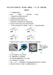 2021-2022学年浙江省“南太湖”联盟高二（下）第一次联考物理试卷（含答案解析)