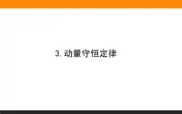 人教版 (2019)选择性必修 第一册3 动量守恒定律示范课ppt课件