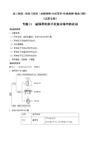 专题11 磁场带电粒子在复合场中的运动-高三物理二轮复习(命题规律+知识荟萃+经典例题+精选习题)(江苏专用)