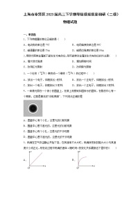 上海市奉贤区2023届高三下学期等级模拟质量调研（二模）物理试题（原卷+解析）