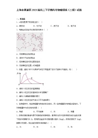 上海市黄浦区2023届高三下学期高考物理模拟（二模）试题（原卷+解析）