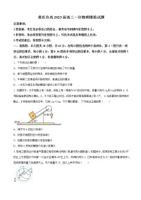 2023届重庆市高三上学期一诊模拟物理试题（一）（解析版）