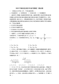 2023年湖北省武汉市高考物理二调试卷（含答案解析）