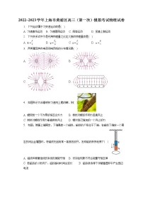 2022_2023学年上海市黄浦区高三（第一次）模拟考试物理试卷（含答案解析）