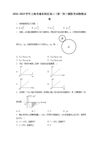 2022_2023学年上海市浦东新区高三（第一次）模拟考试物理试卷（含答案解析）