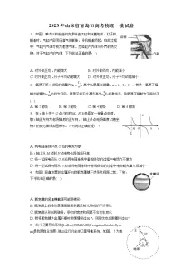 2023年山东省青岛市高考物理一模试卷（含答案解析）