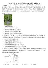 河南省2023年高三下学期高考适应性考试理综物理试题含答案