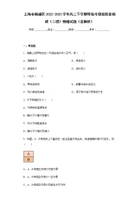 上海市杨浦区2022-2023学年高三下学期等级考模拟质量调研（二模）物理试题含解析