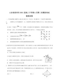 2021届山东省滨州市高三下学期5月第二次模拟考试物理试卷 PDF版