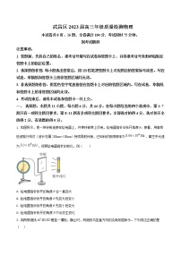 2022-2023学年湖北省武汉市武昌区高三上学期质量检测物理试卷含解析