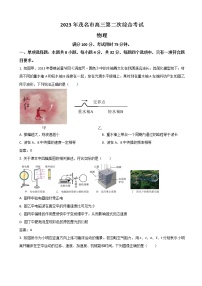 2023届广东省茂名市高三下学期二模物理试卷（word版）