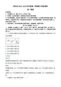 2022-2023学年陕西省咸阳市武功县高一下学期期中质量调研物理试题（解析版）