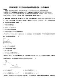 浙江省杭州第十四中学2023年高考模拟训练试题（五）物理试题