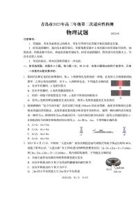 山东省青岛市2023届高三下学期第二次适应性测试二模物理试卷+答案