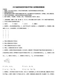 2023届吉林省吉林市重点中学高三高考模拟物理试题