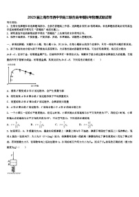 2023届上海市市西中学高三联合高考模拟考物理试题试卷