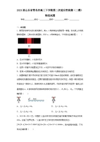 2023届山东省青岛市高三下学期第二次适应性检测（二模）物理试题（含答案）