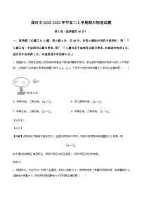 2022-2023学年河南省郑州市高二上学期期末物理试题含解析