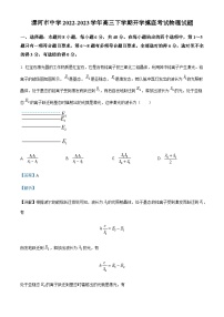 2022-2023学年河南省漯河市中学高三下学期开学摸底考试物理试题含解析