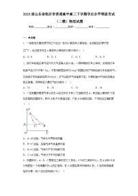 2023届山东省临沂市普通高中高三下学期学业水平等级考试（二模）物理试题（含答案）