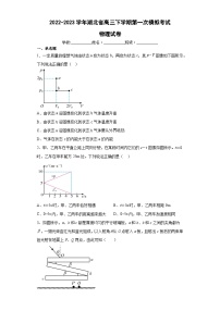 2022-2023学年湖北省高三下学期第一次模拟考试考试物理试卷（含解析）
