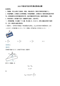 重庆市西南大学附属中学2022-2023学年高三物理下学期新高考适应性试题（Word版附解析）