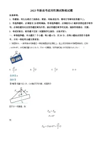 重庆市西南大学附属中学2022-2023学年高三物理下学期新高考适应性试题(Word版附解析)