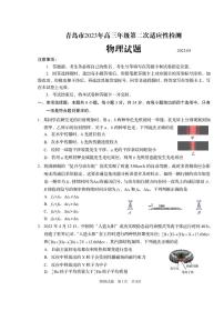 2023届山东省青岛市高三第二次(二模)适应性测试 物理