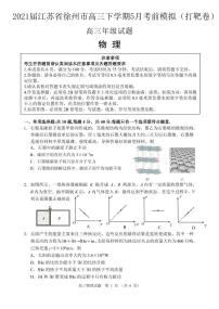 2021届江苏省徐州市高三下学期5月考前模拟（打靶卷）物理试题 PDF版