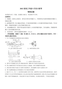 2023届广东省茂名市高三下学期5月大联考物理试题(含答案详解)